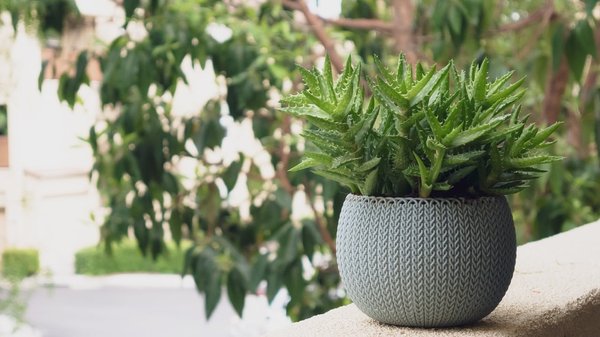 Comment optimiser votre balcon avec des pots de fleurs ?