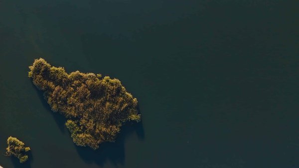 Toiture végétalisée : avantages et entretien