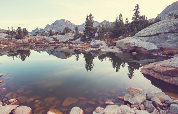 Combattre le désordre : stratégies pour une maison organisée