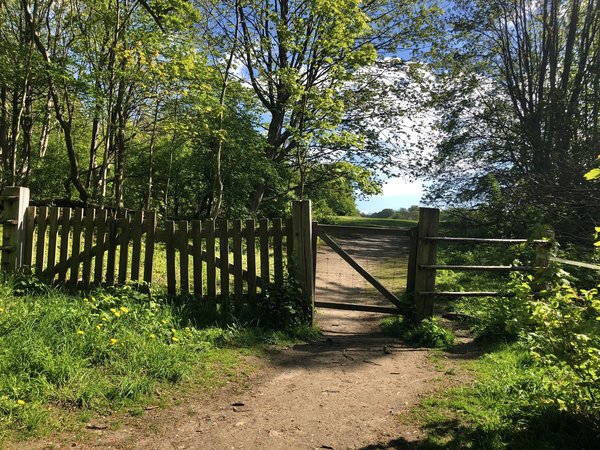 La ganivelle : utilités et avantages